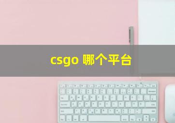 csgo 哪个平台